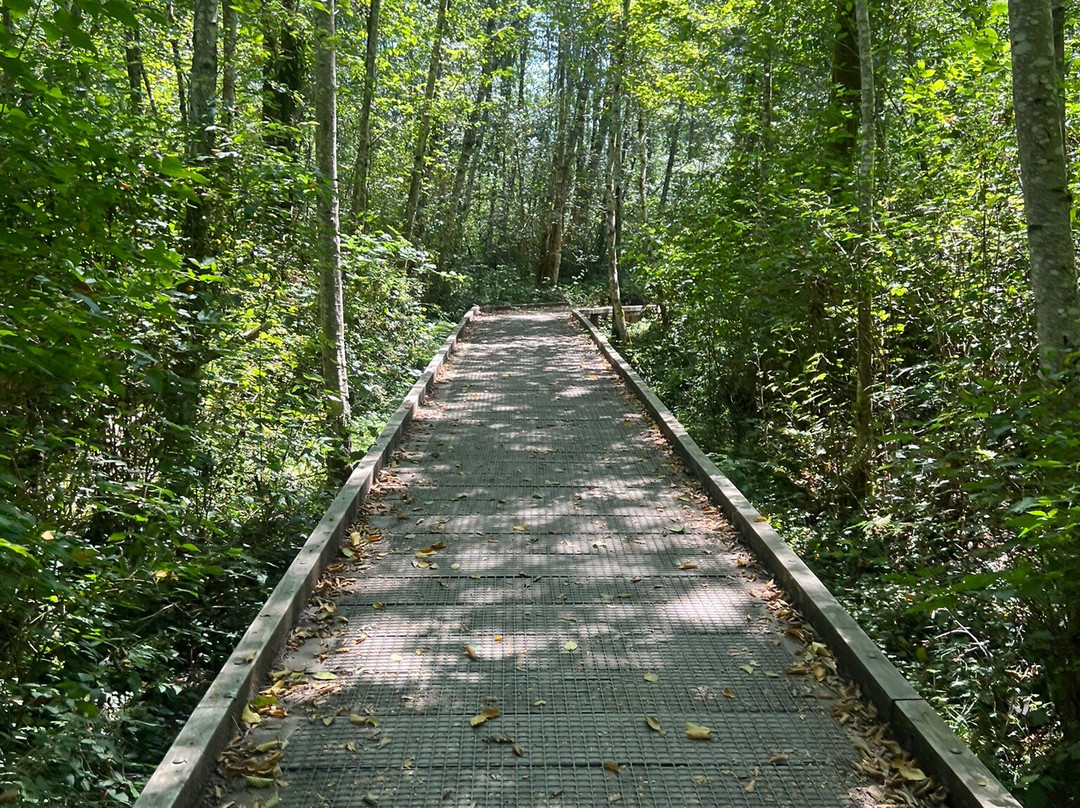 Sakai Park-班布里奇岛必去景点