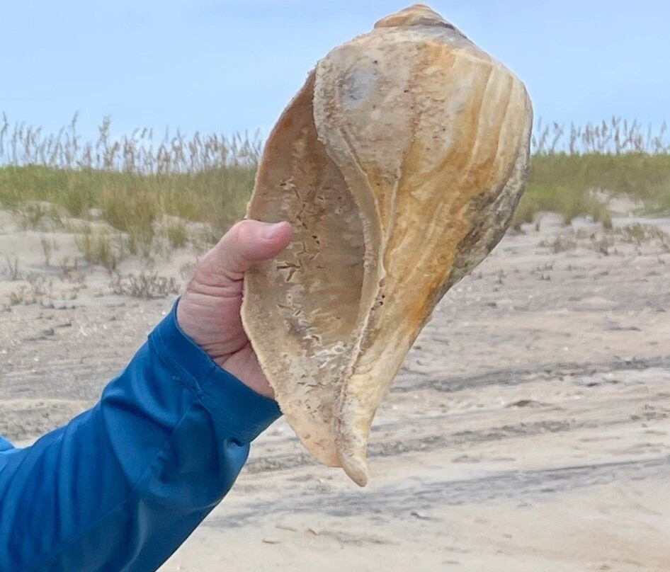 The Island Guesthouse and Motel主图