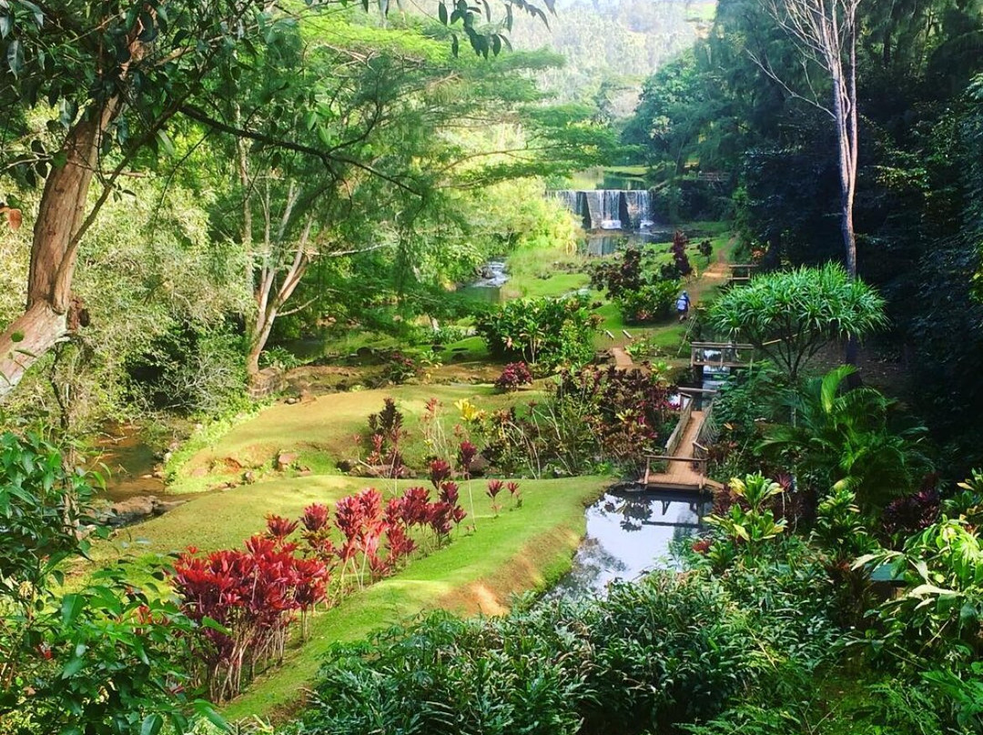 Wai Koa Loop-基拉韦厄必去景点