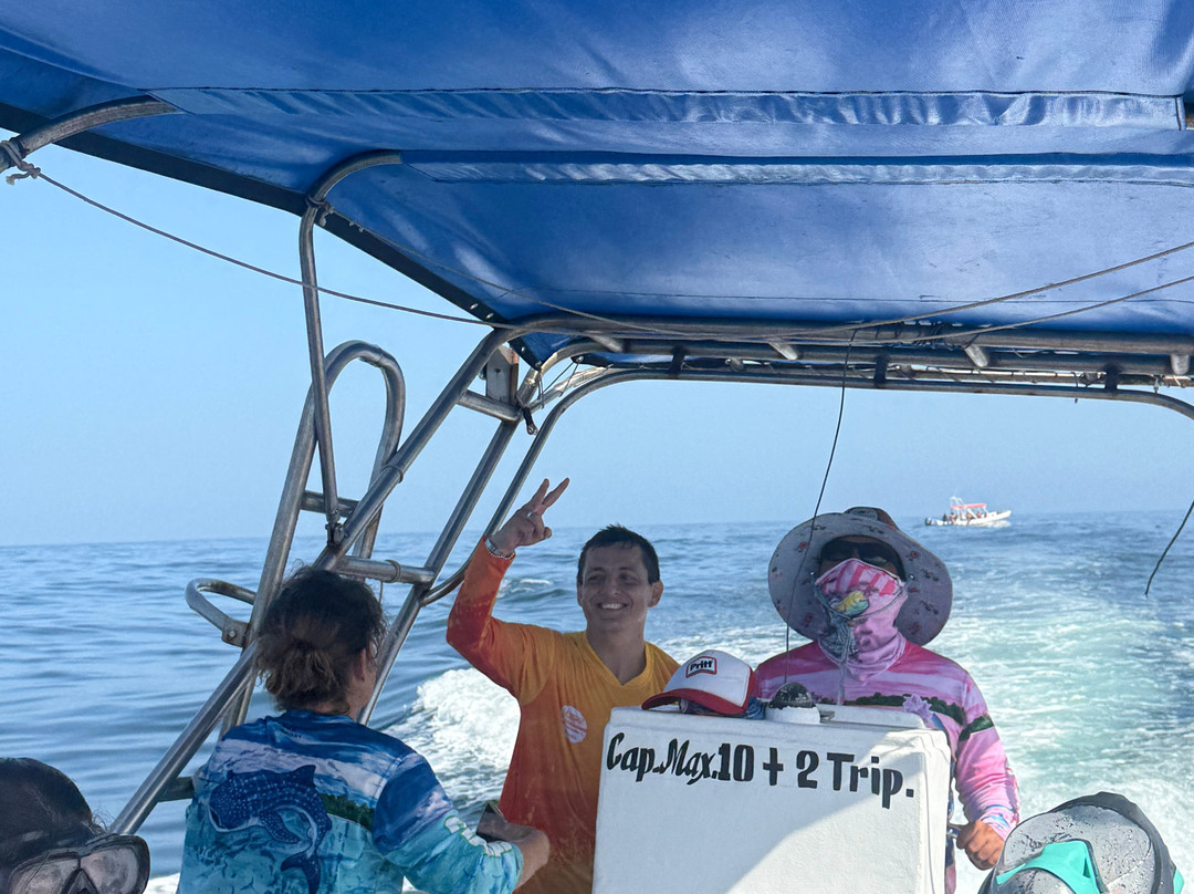 My Holbox Tours-Holbox必去景点