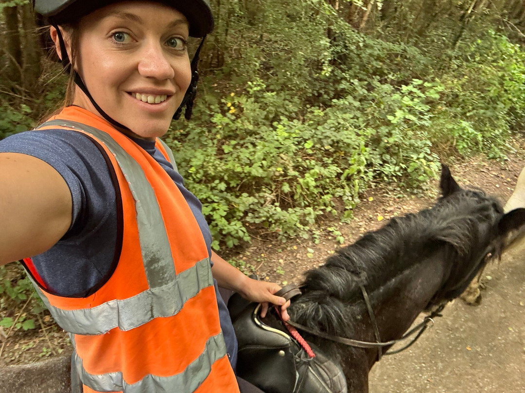Derbyshire Pony Trekking-Mansfield必去景点