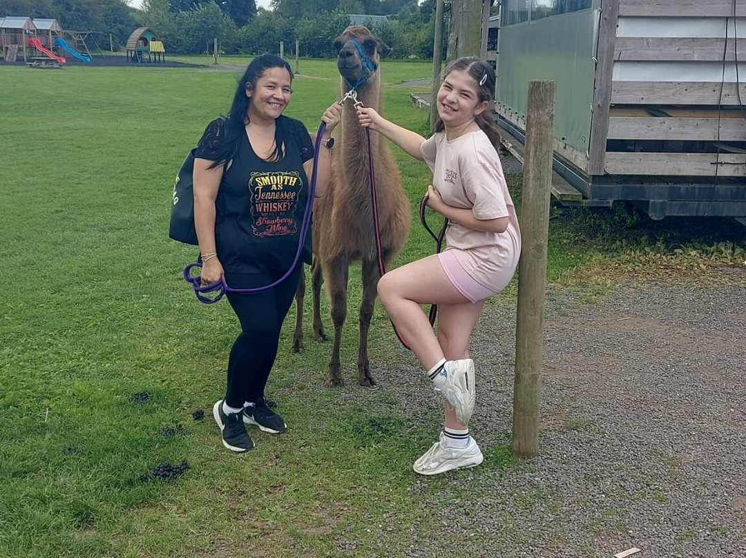 The Jungle NI-Magherafelt必去景点