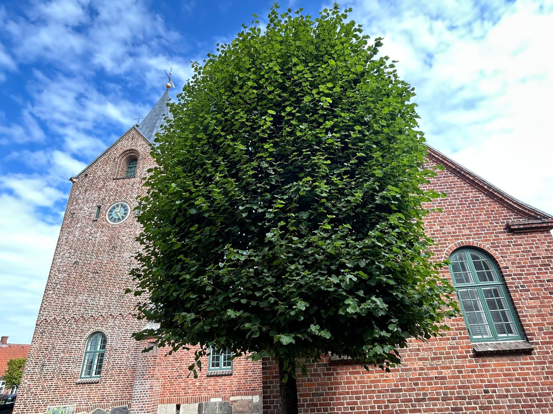Ringkøbing kirke-灵克宾必去景点