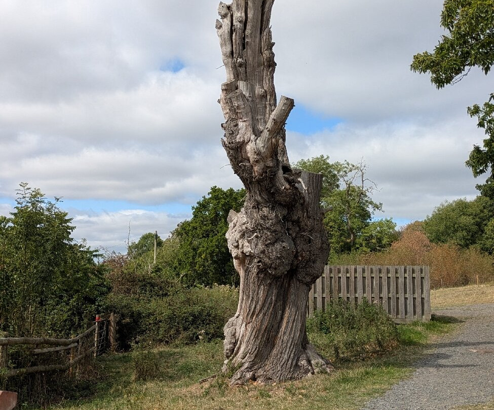 Croft Castle and Parkland-Yarpole必去景点