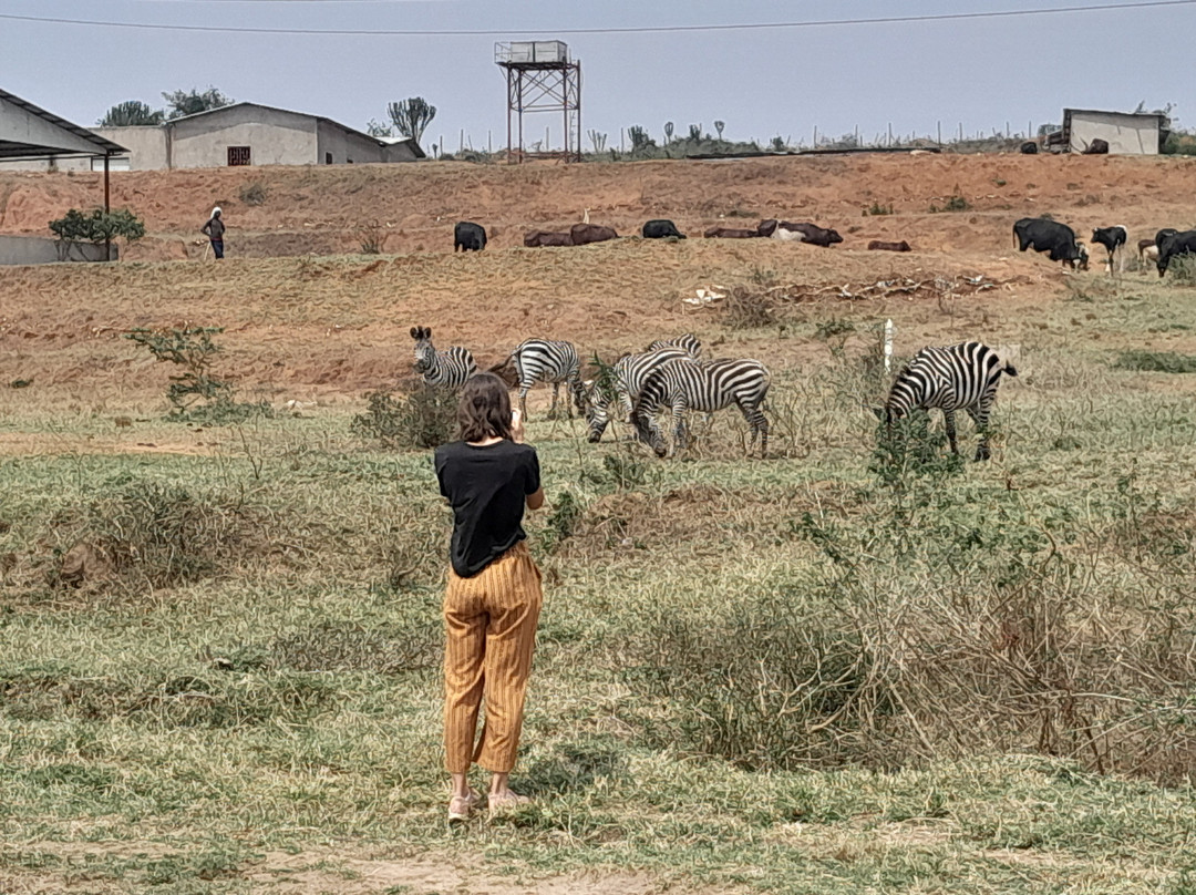 Gatatu Safaris-卡巴莱必去景点