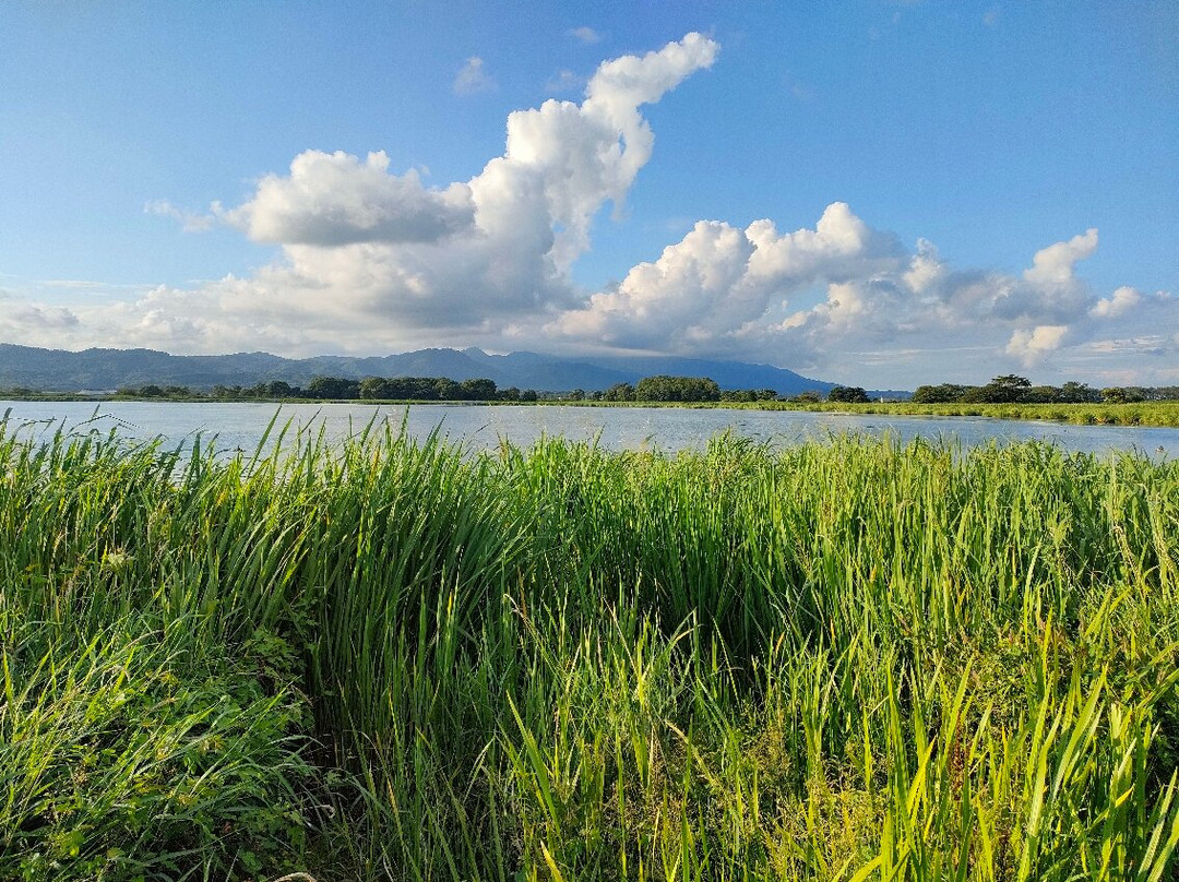 Miyajimanuma-美呗市必去景点