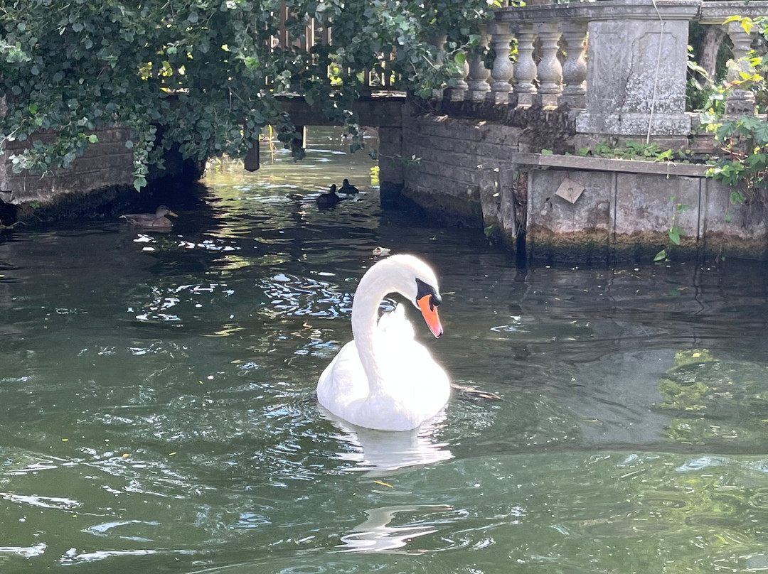 Boating at Marlow-Marlow必去景点