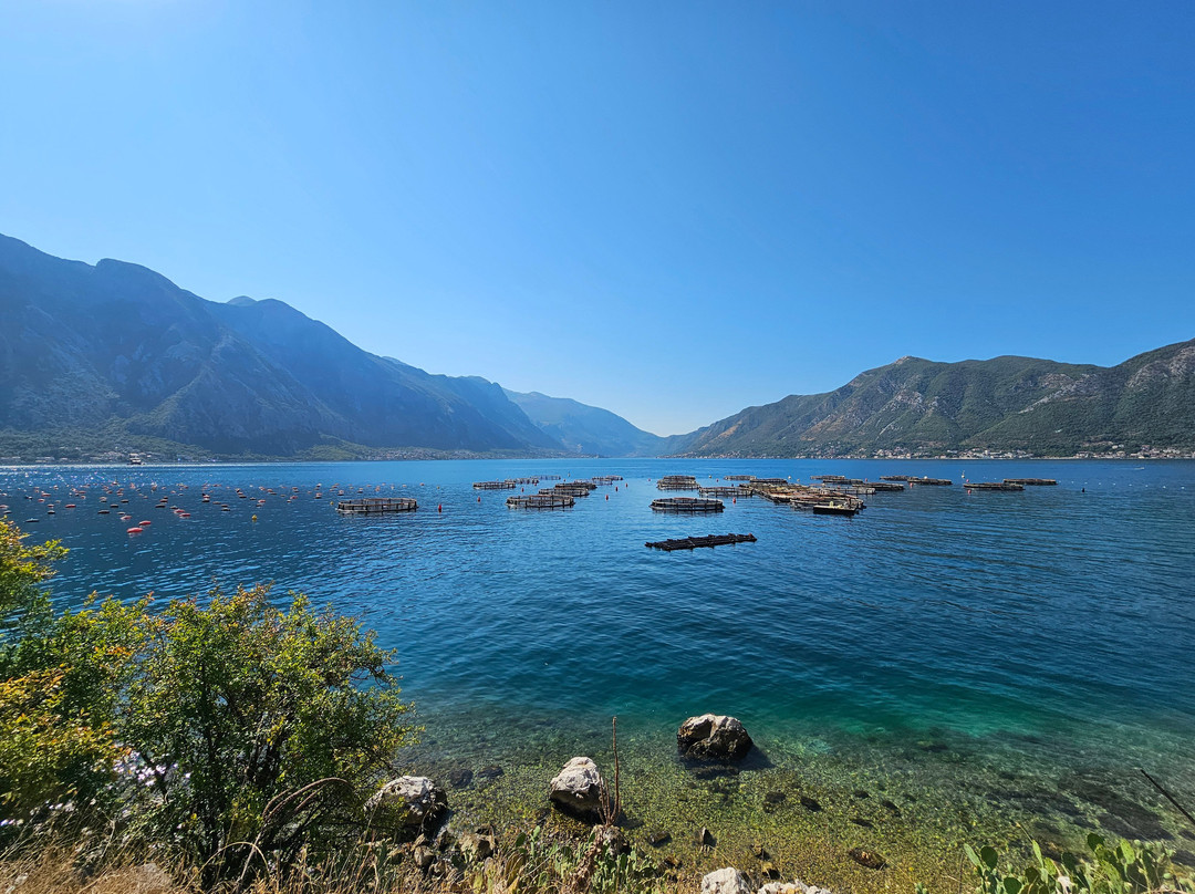 Tour By Nef-科托尔必去景点