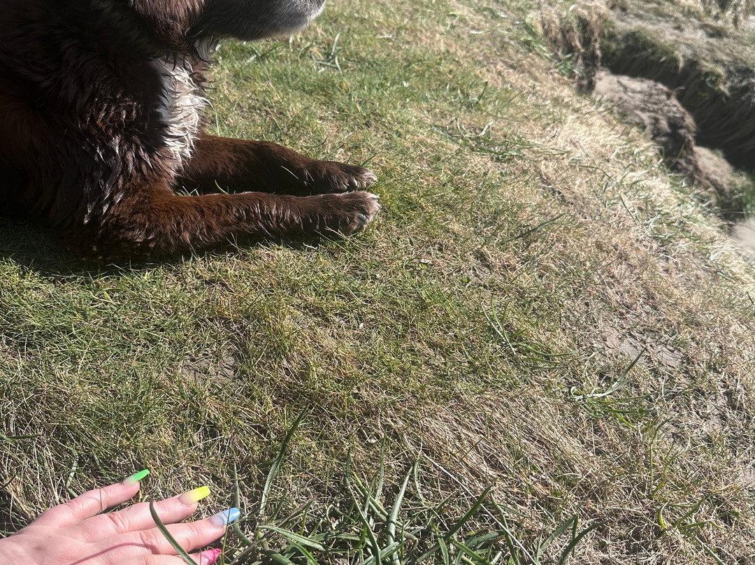 Ye Olde Fighting Cocks主图