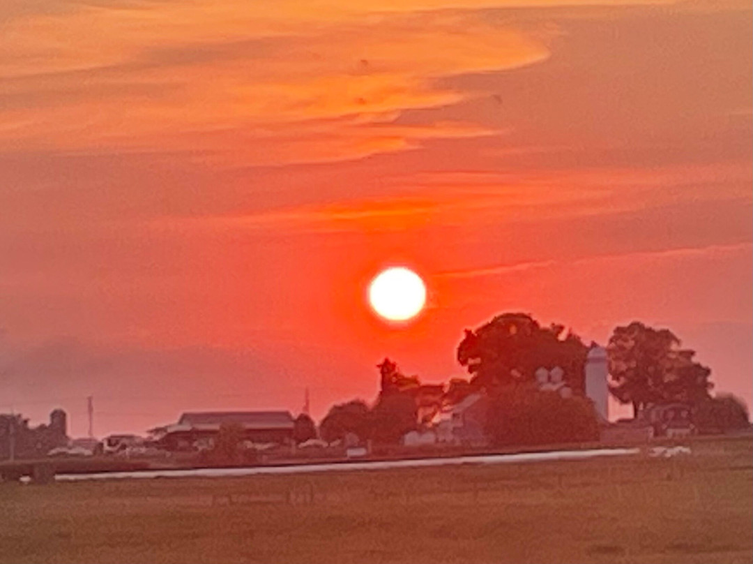 Willow Street酒店住宿-Walnut Lawn B&B