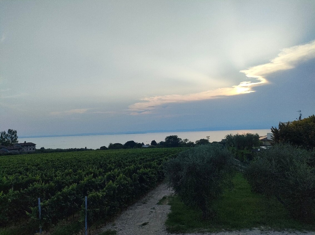 Cantina Casetto-Cisano必去景点