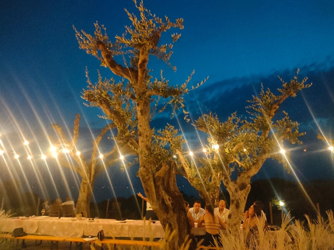 Cantina Casetto-Cisano必去景点