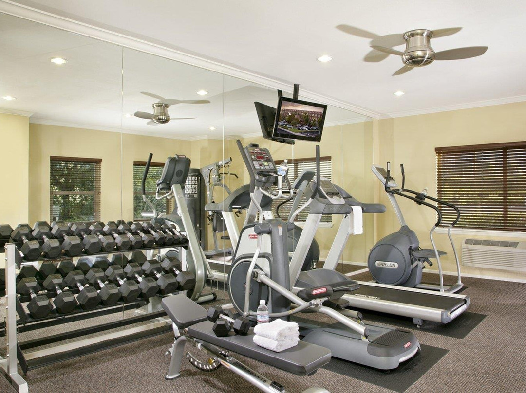 约巴林达酒店住宿-约巴林达艾瑞斯套房酒店