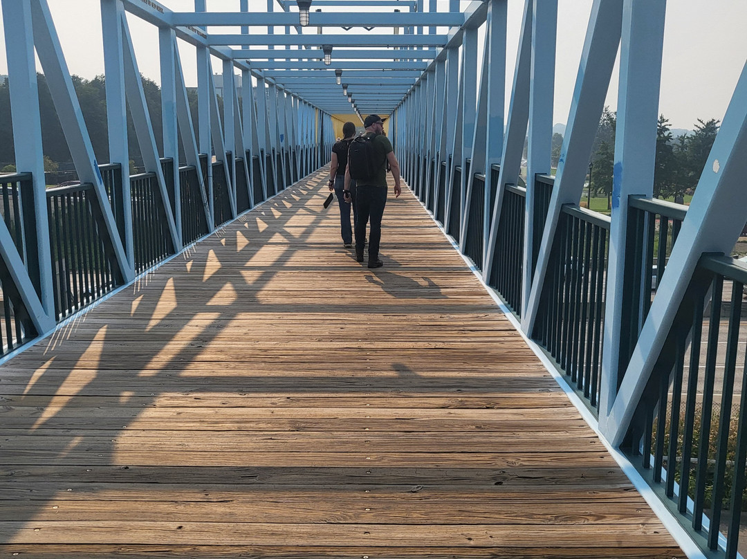 Loring Park-明尼阿波利斯必去景点