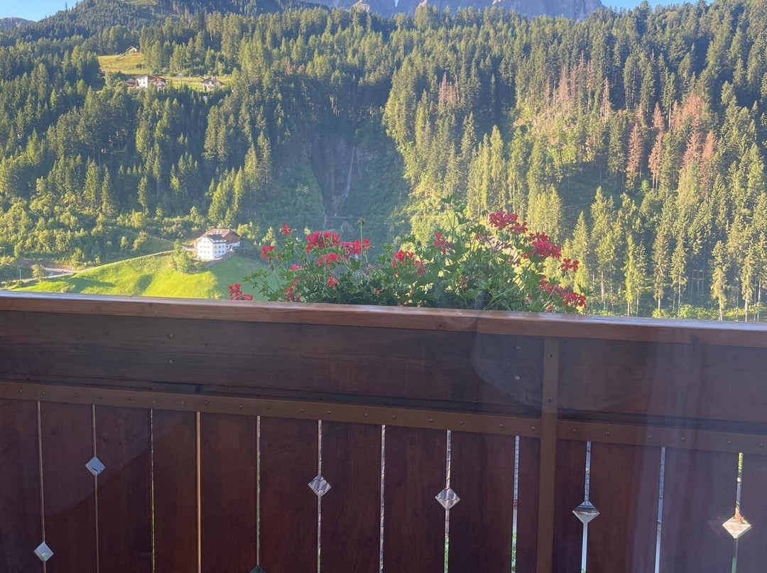 Hotel Pension Ciamp主图