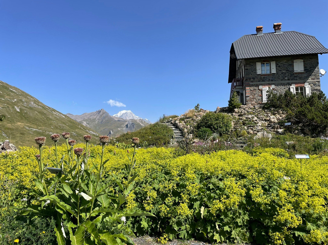 Giardino Botanico Alpino Chanousia-La Thuile必去景点