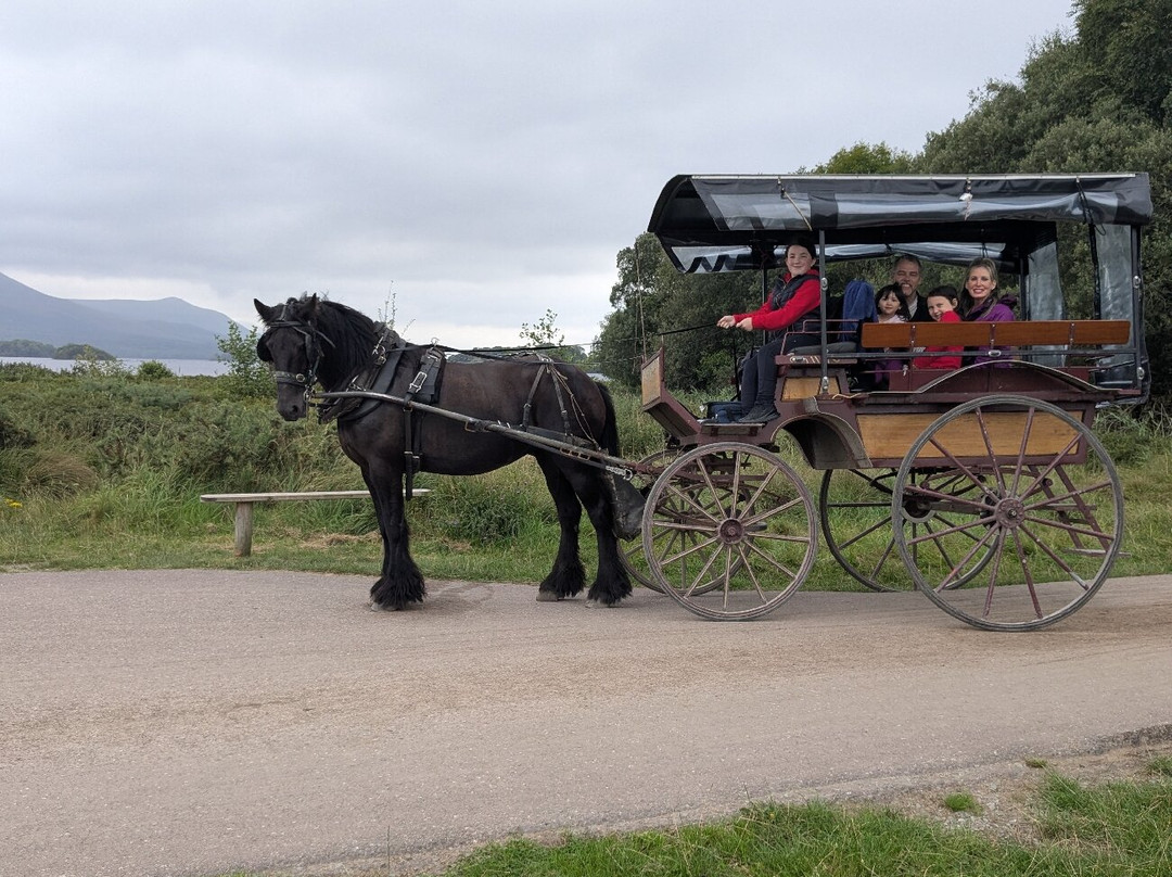 Ross castle carriages-基拉尼必去景点