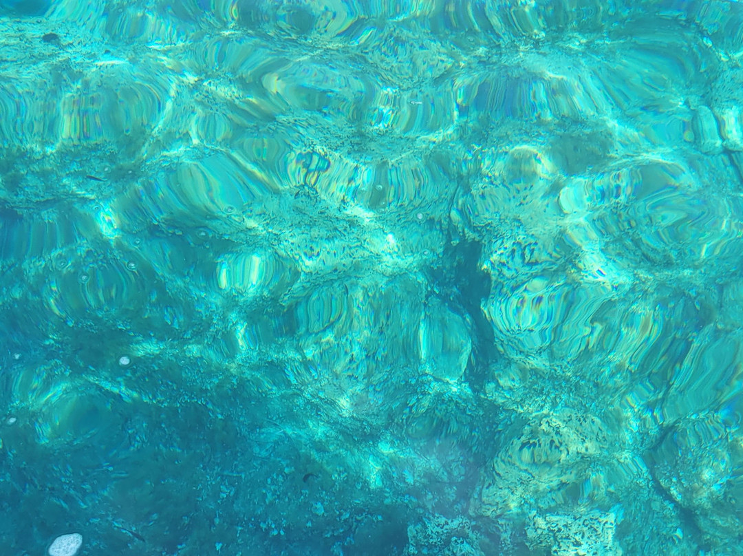 Diving Center Ankora-Lastovo Island必去景点