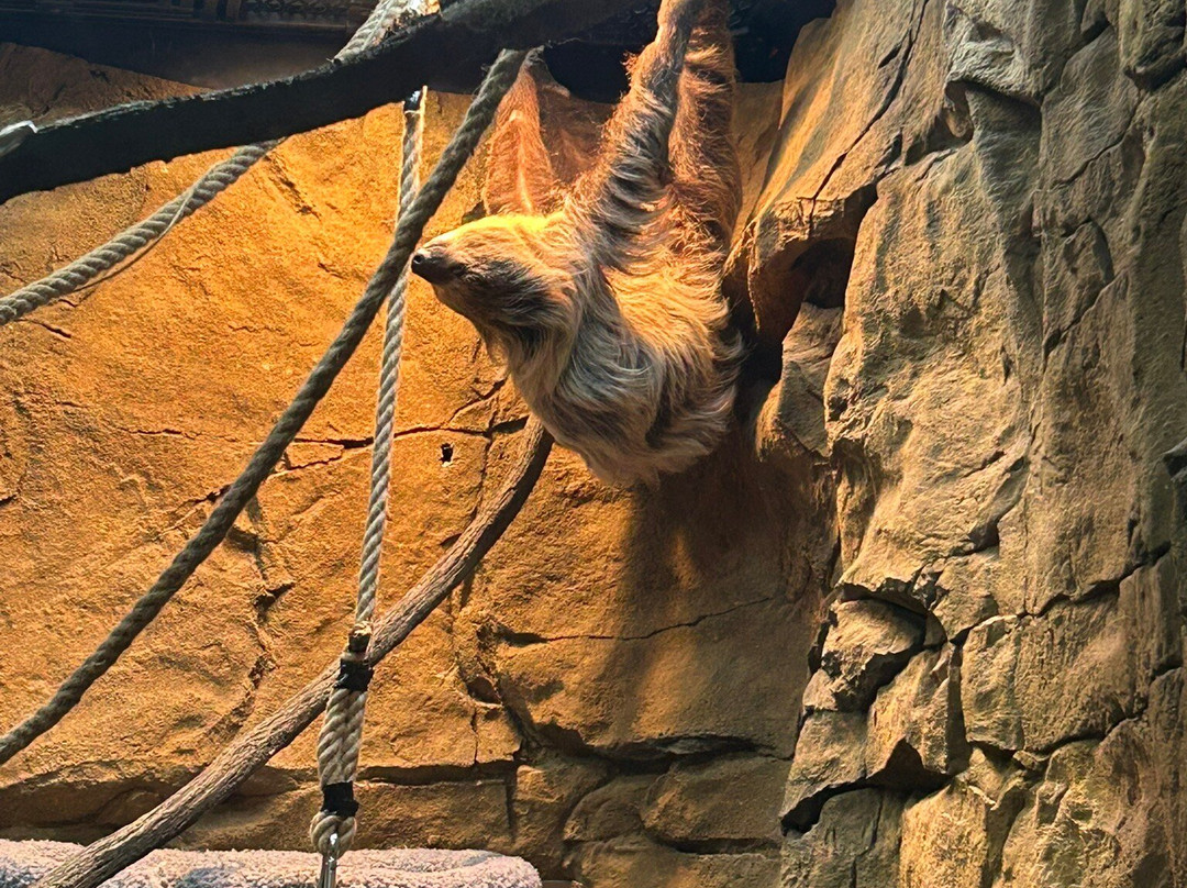 Legasea Aquarium & The Reptarium-Utica必去景点