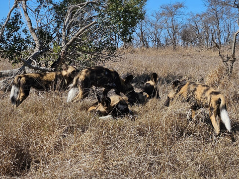 Ashridge Safaris & Guesthouse-雾观必去景点