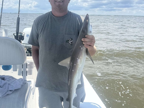 Georgia Saltwater Adventures-圣西蒙斯岛必去景点