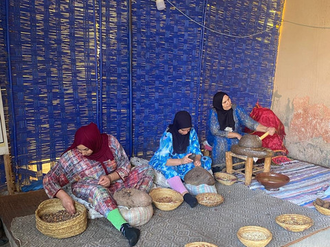 Safari Marrakech-马拉喀什必去景点