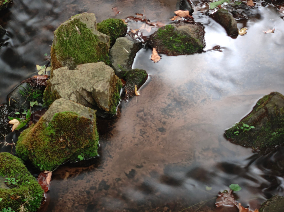 Bossington Hall主图