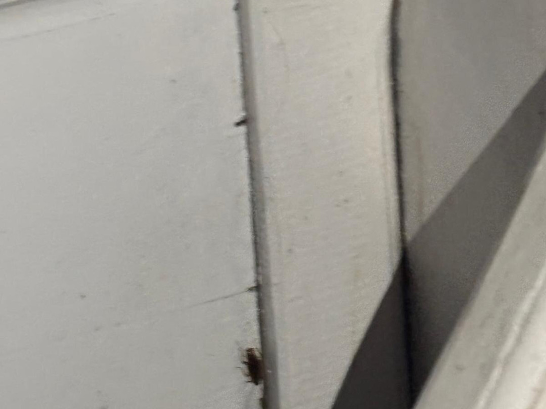 Big Komodo Tour-Labuan Bajo必去景点