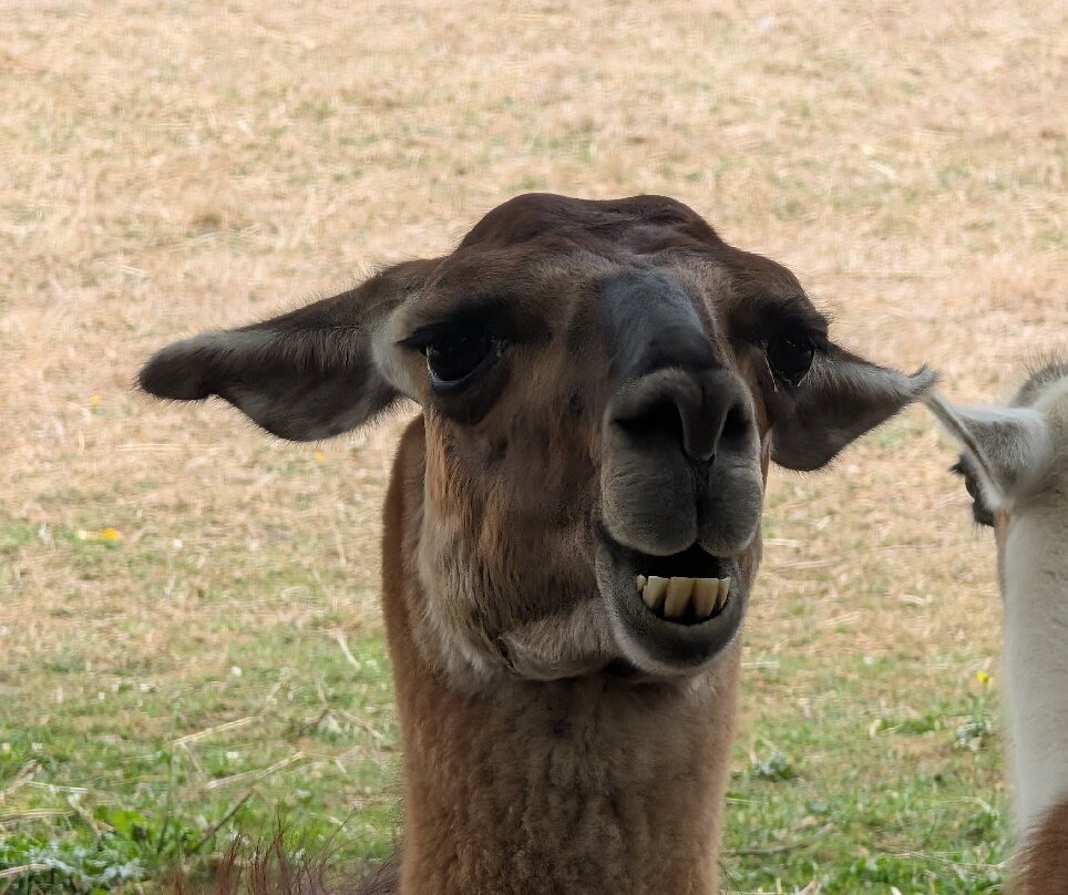 Natural'Parc-Saint-Laurent-des-Autels必去景点