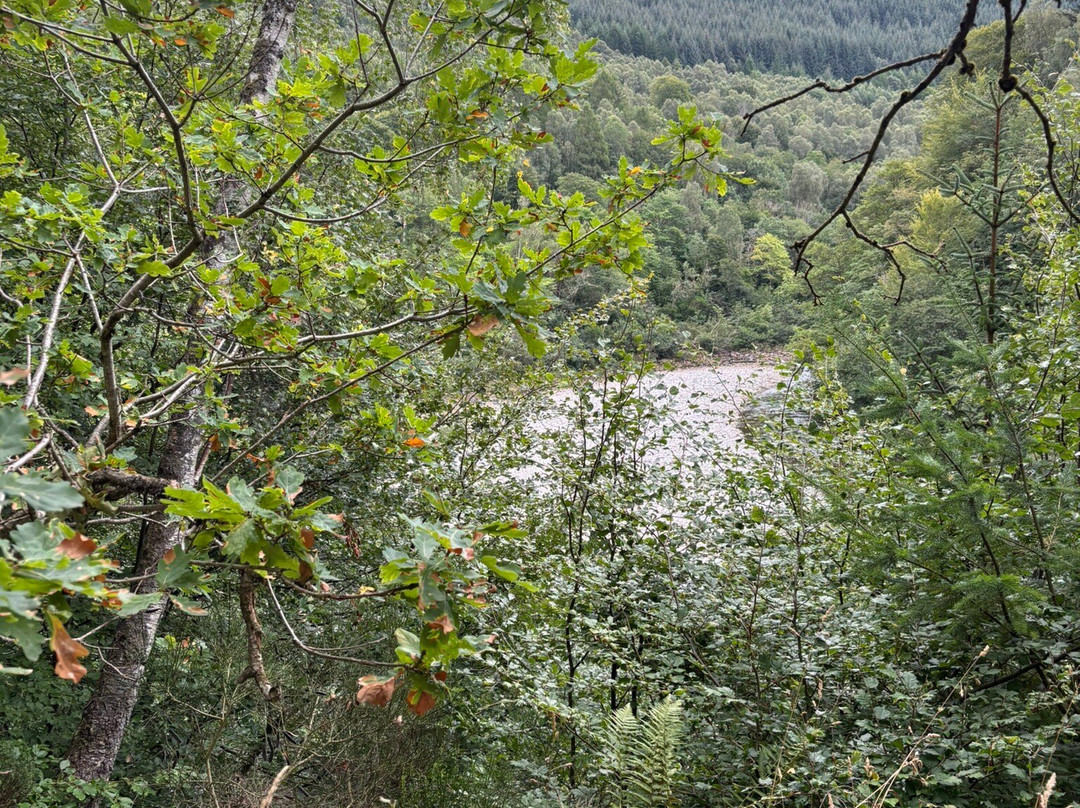 Killiecrankie Visitors Centre-Killiecrankie必去景点