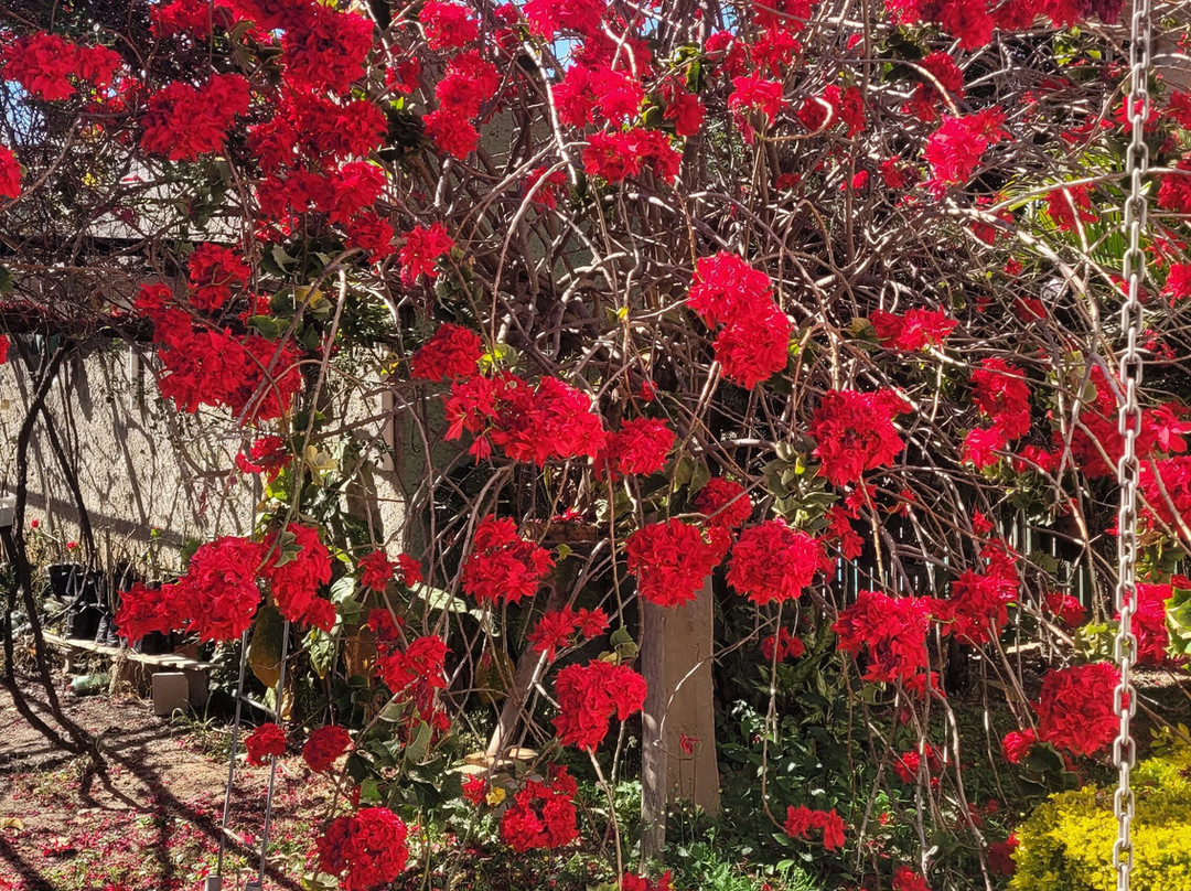 Adega Família Baccetti-维涅杜必去景点