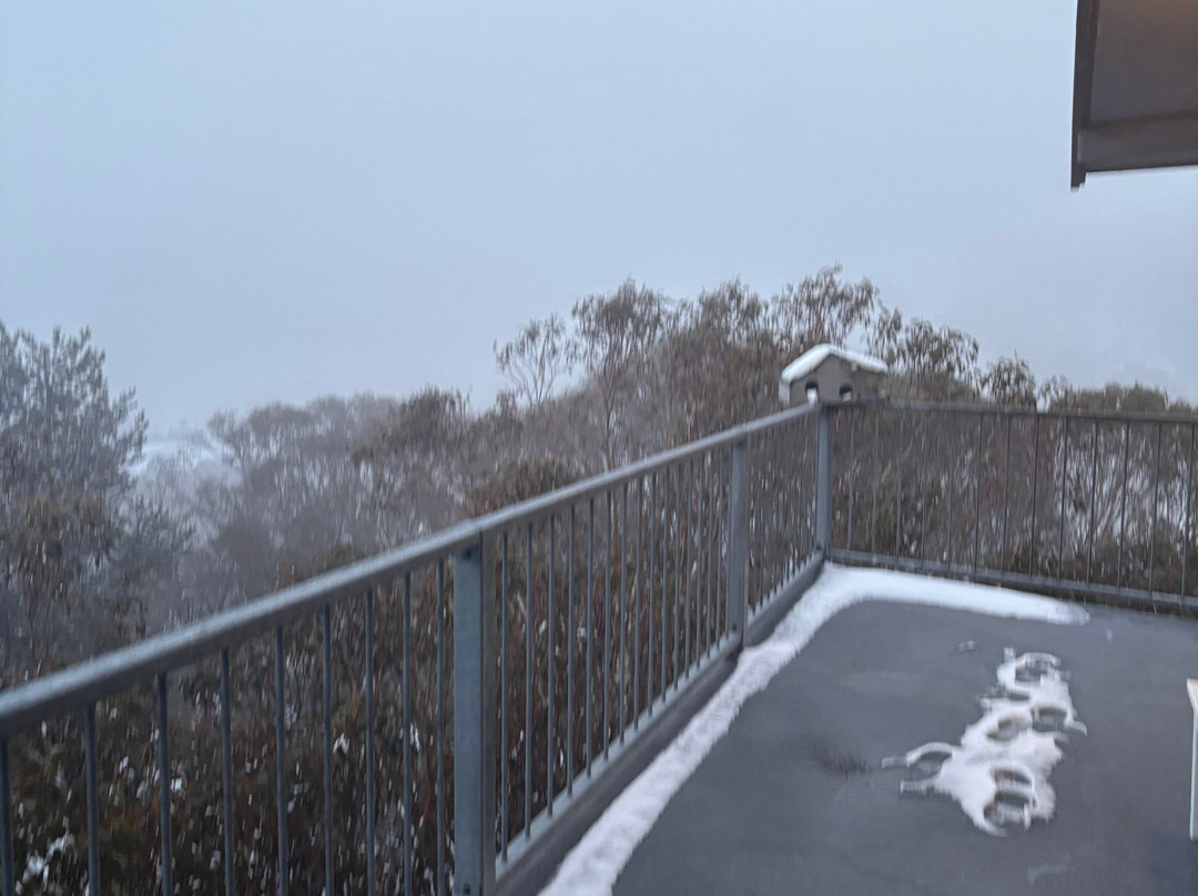 Attunga Alpine Lodge and Apartments主图