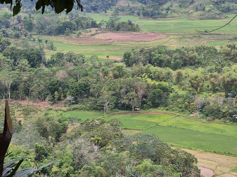 Save Komodo Tour-Labuan Bajo必去景点