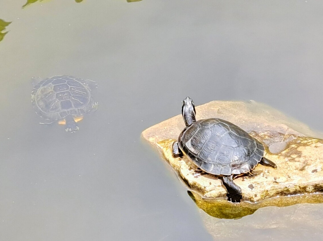 Jardin Botanique-Bayonne必去景点