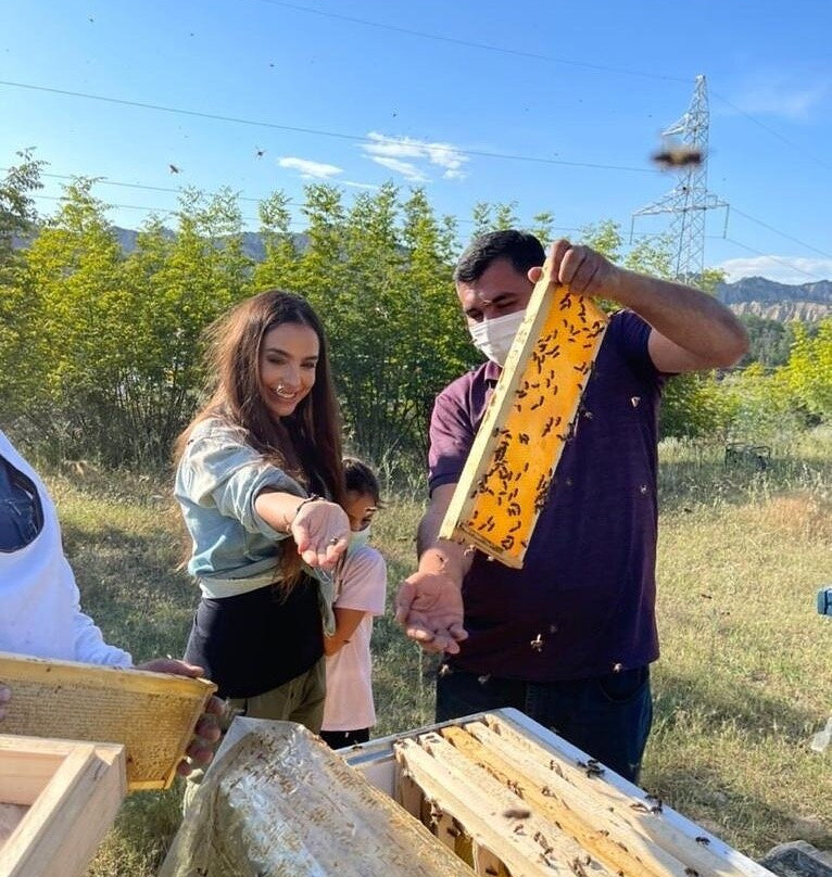 Tofiqoghlu Beekeeping Experience-Zaragan必去景点