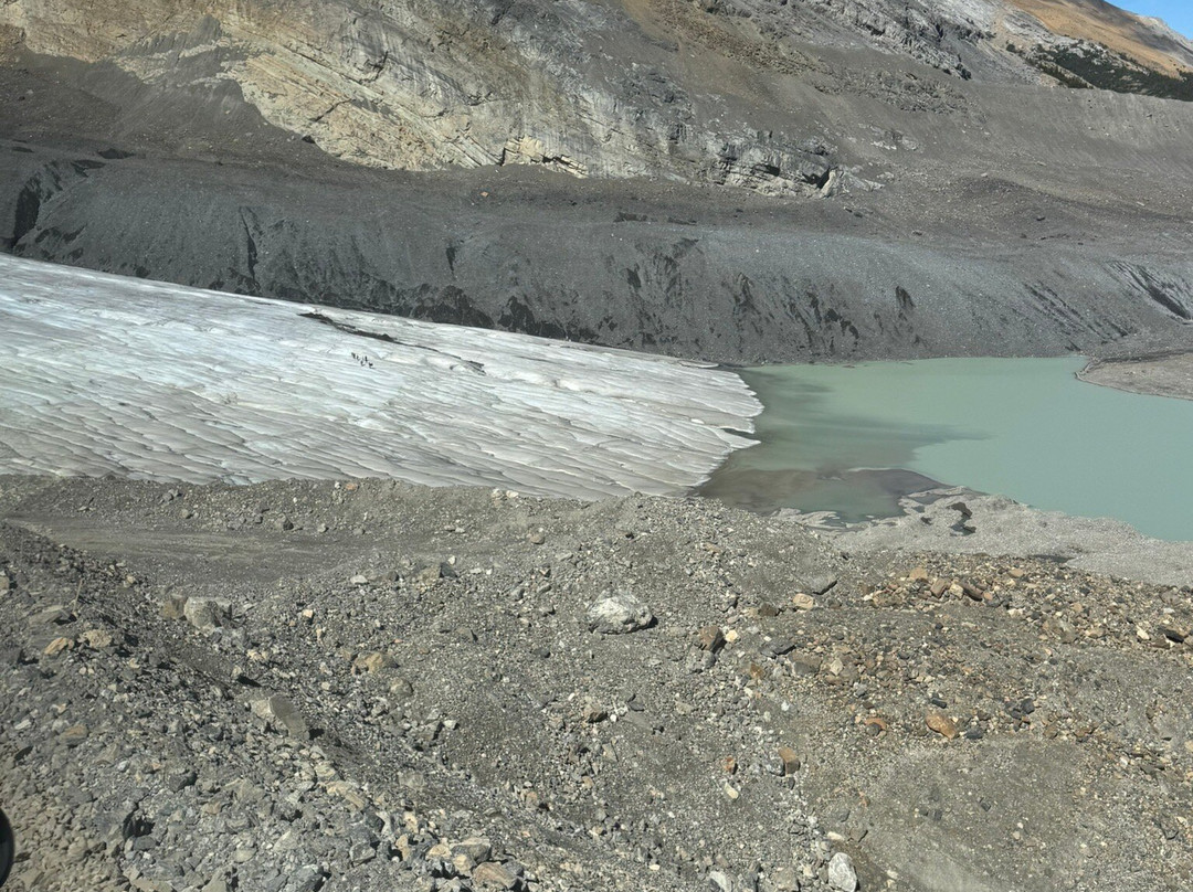 Columbia Icefield Scenic Walks-班夫必去景点