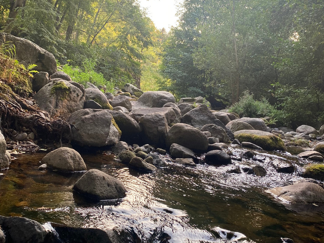 Domaine de Salomony主图