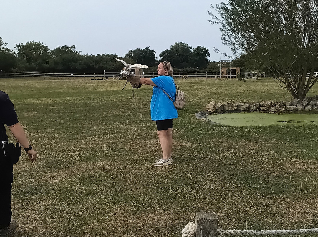 Birds of Prey Centre-Wilstead必去景点