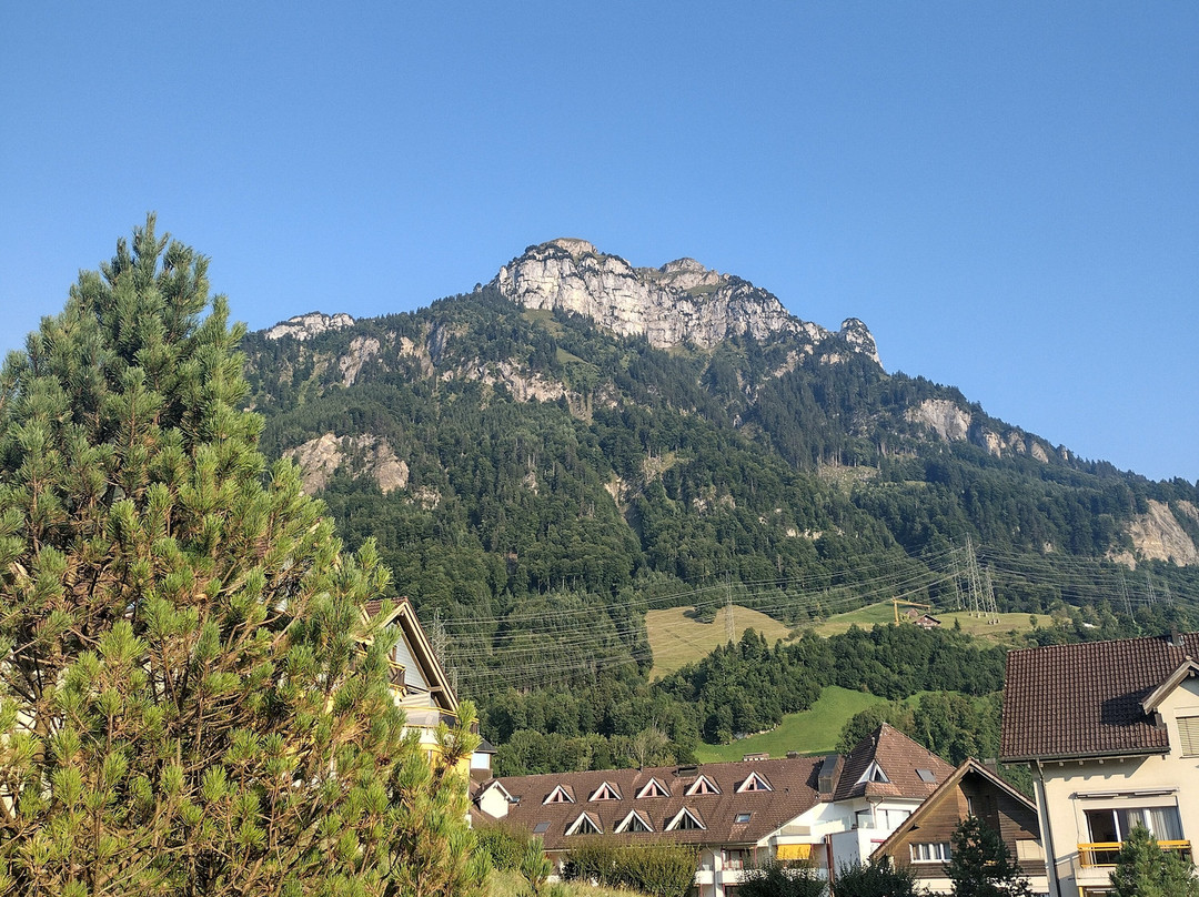 Hotel Swiss Holiday Park主图