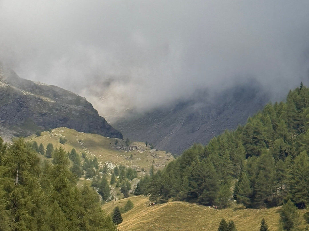 Parco Giochi Pejo Kinderland-Cogolo必去景点