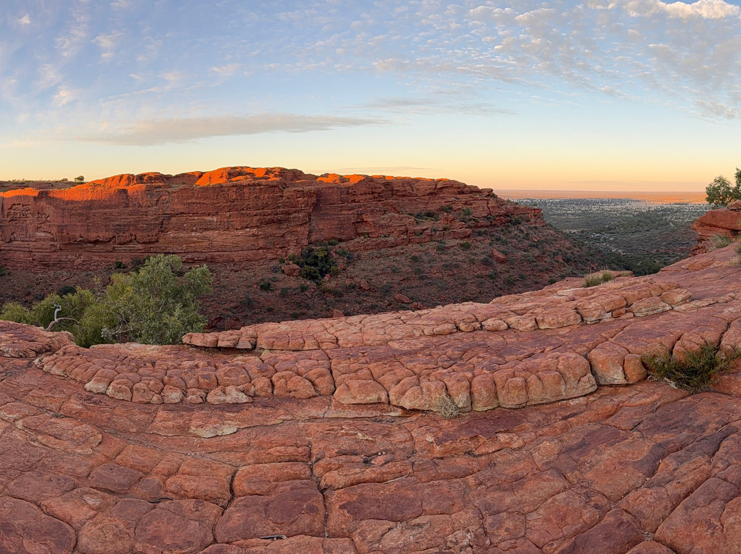 Untamed Escapes-阿德莱德必去景点