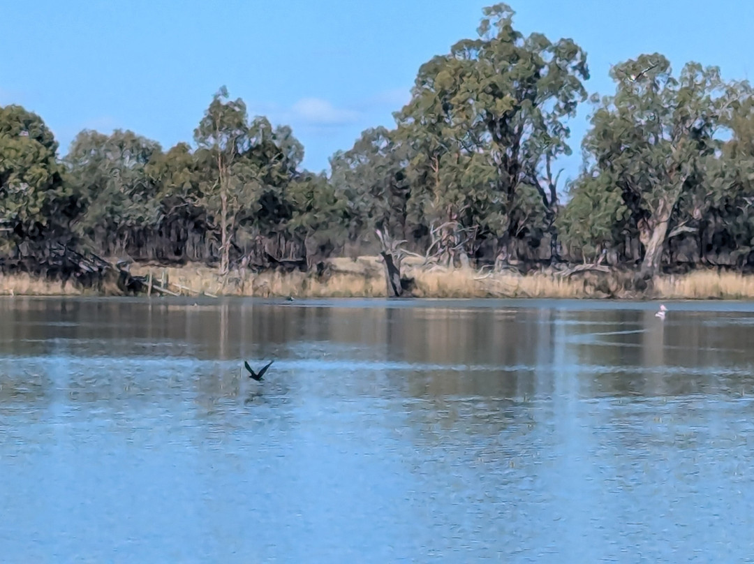 Rivergum Boat Cruises Pty Ltd-Waikerie必去景点