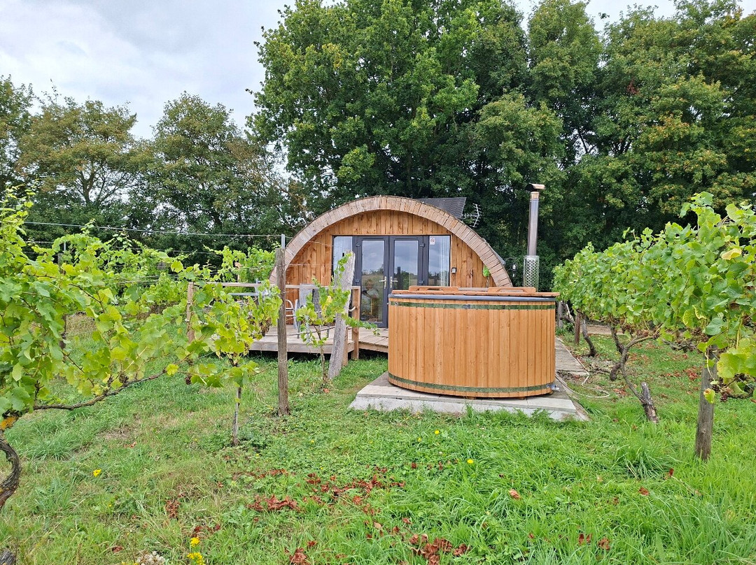 Valley Farm Vineyards-Wissett必去景点