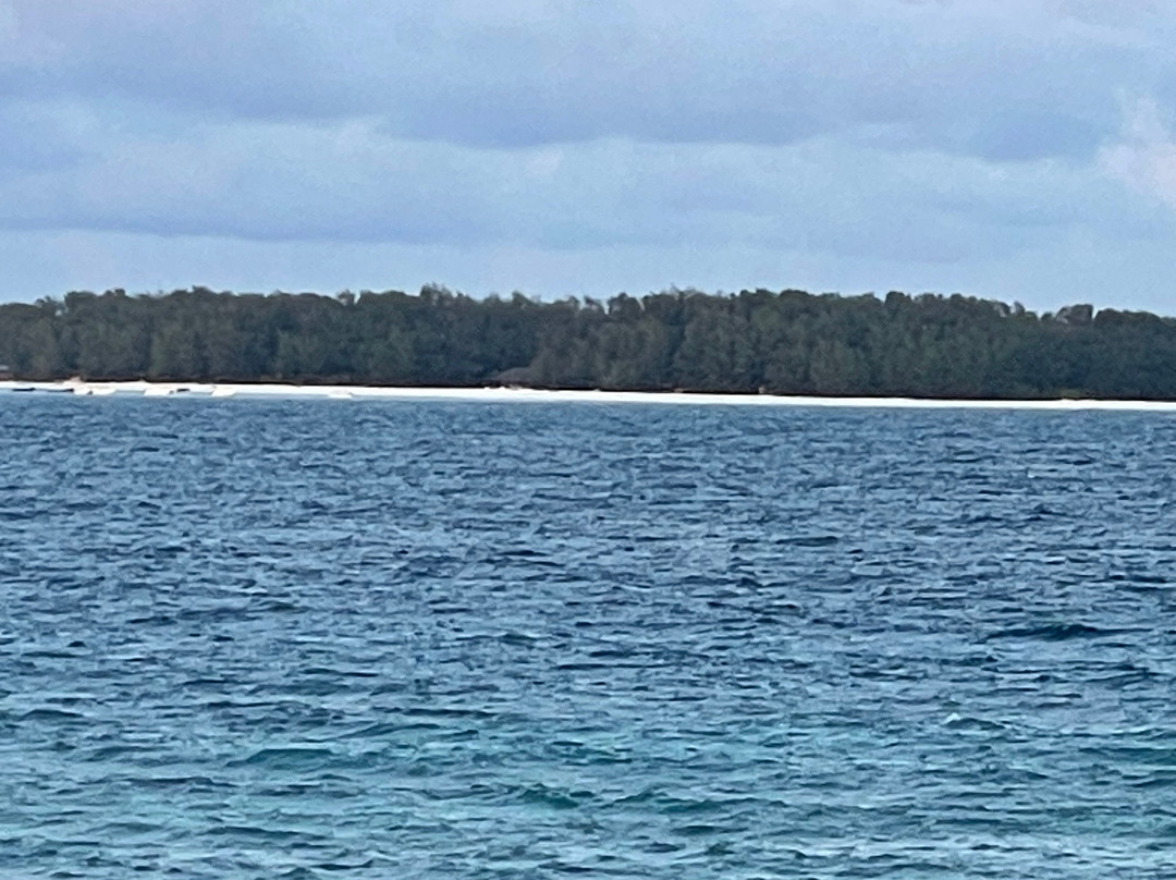 Dive Point Zanzibar-Matemwe必去景点