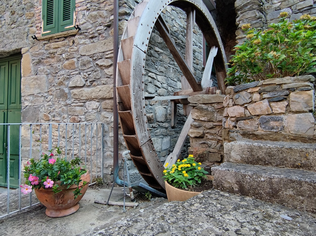 Come & See Italy - Day Tours-蒙特卡蒂尼－泰尔梅必去景点