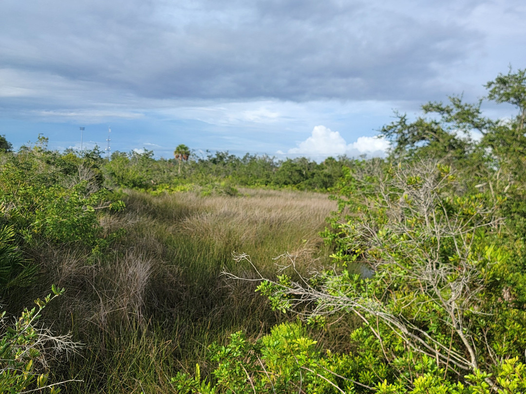 Tippecanoe Environmental Park-夏洛特港必去景点