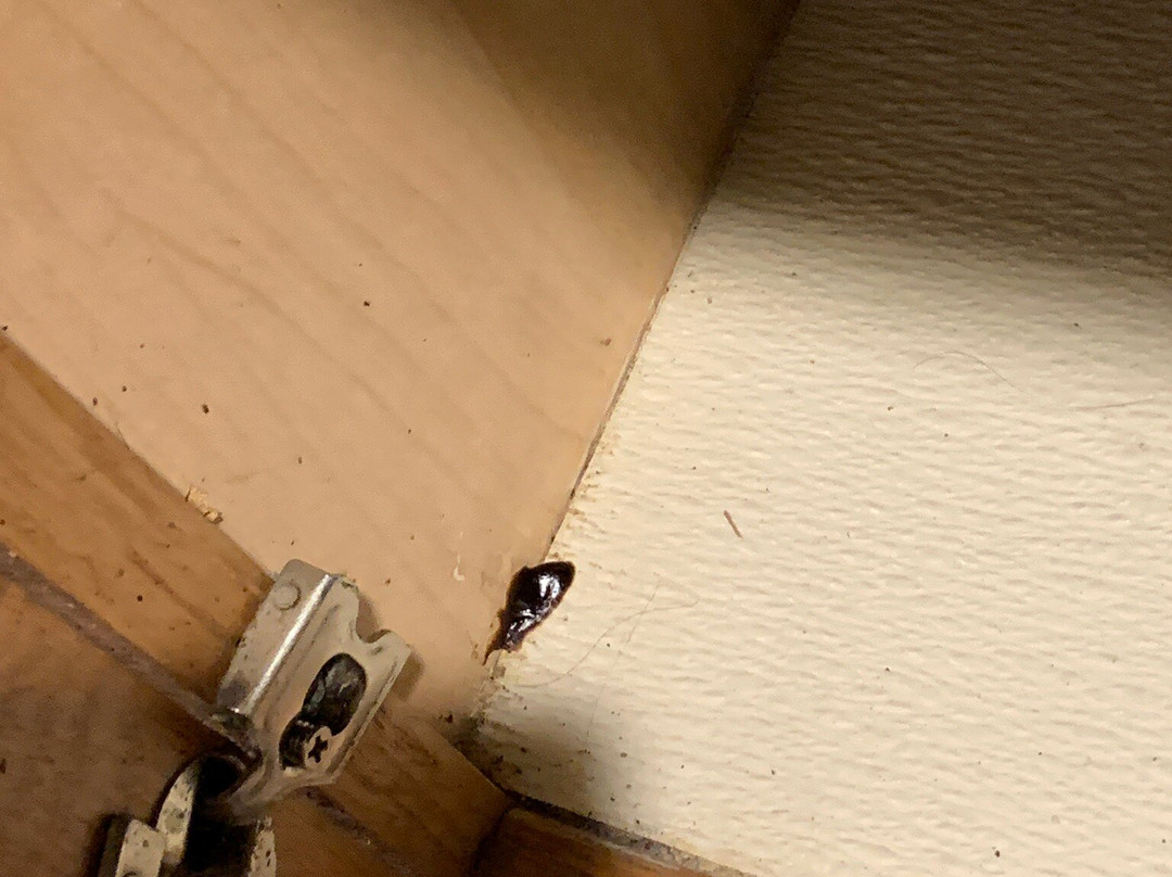 Extended Stay America Select Suites - Tallahassee - Northwest主图