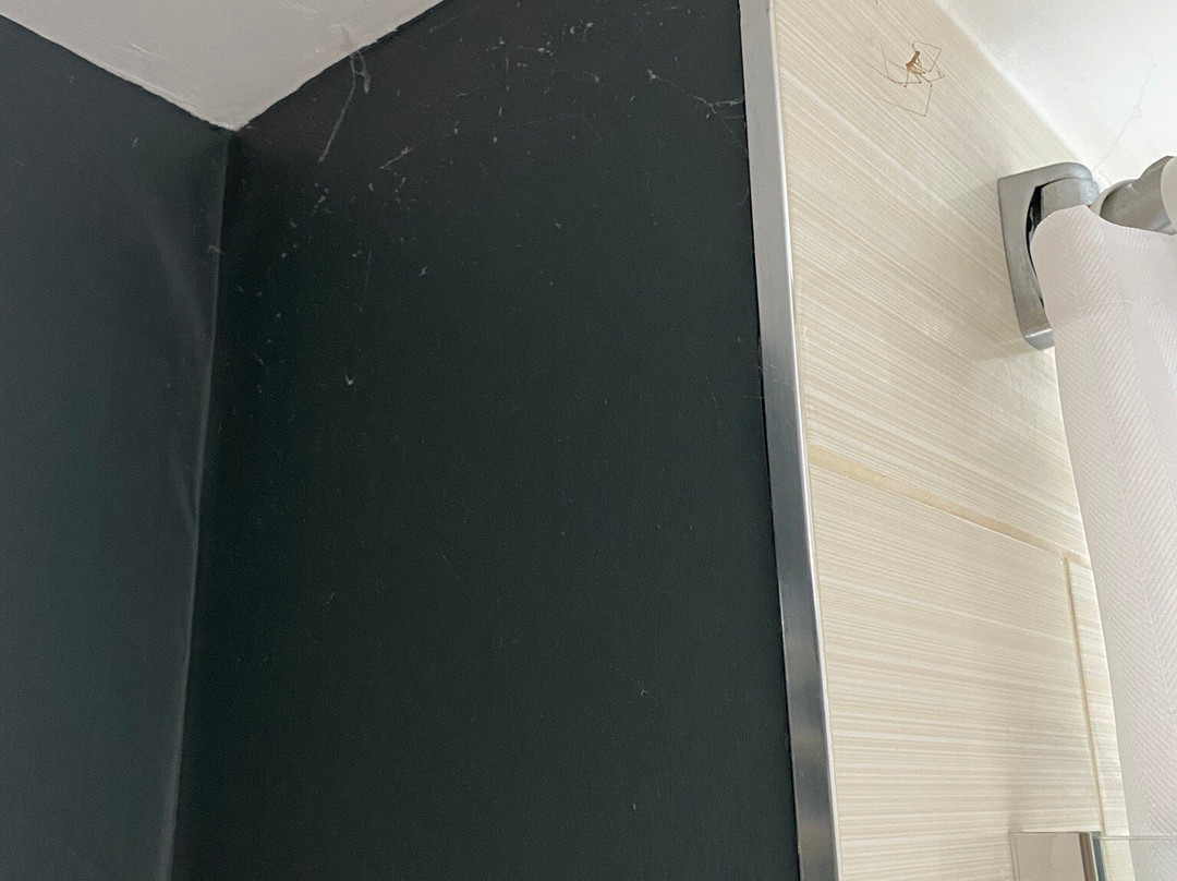 金羊毛酒店主图