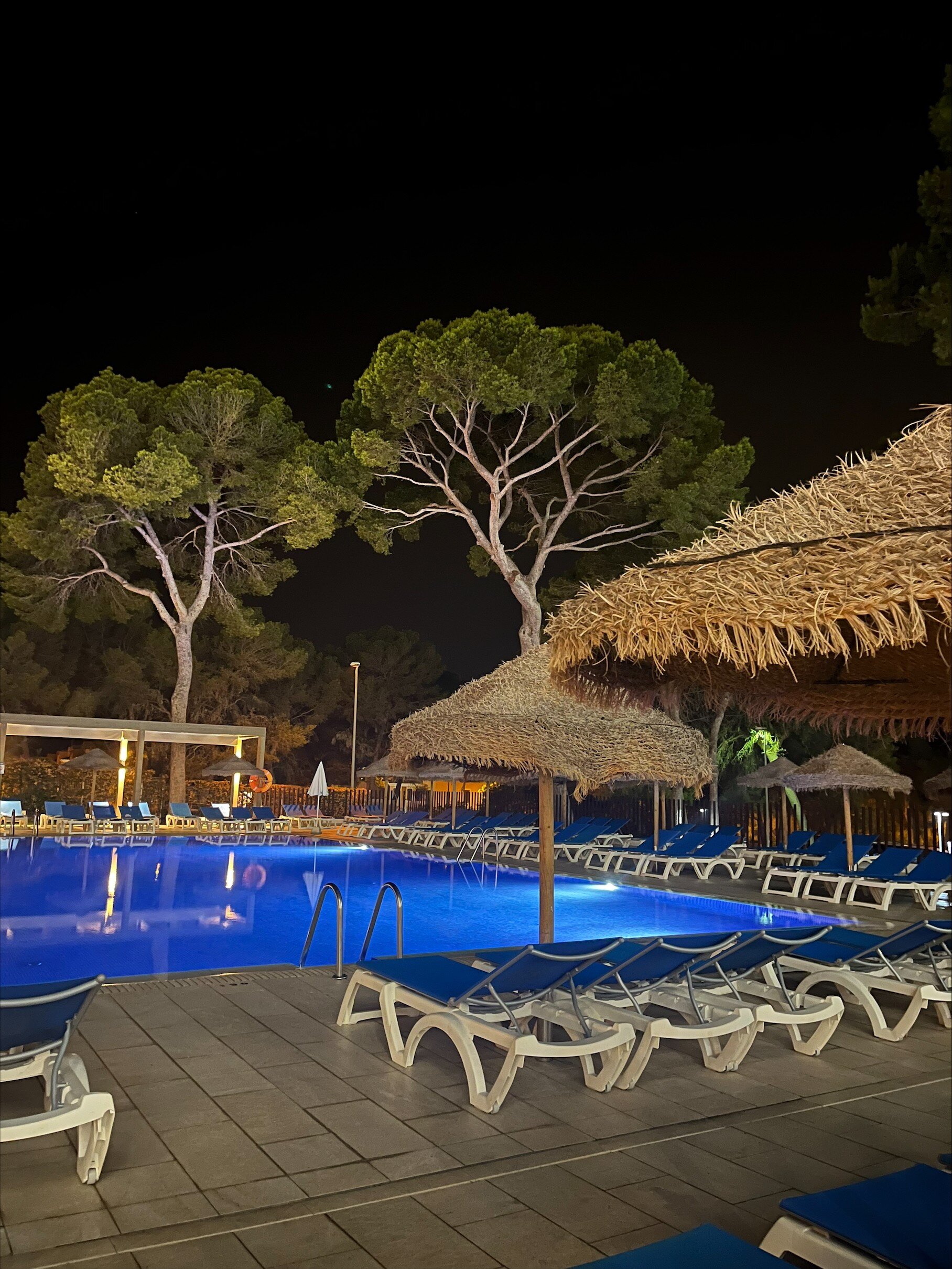 Hotel Best Delta-泳池