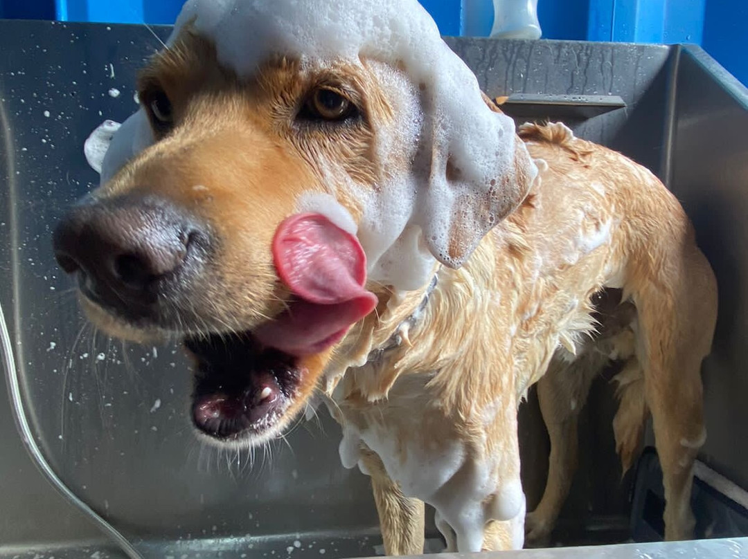 Barrio 28-巴耶－德布拉沃必去景点